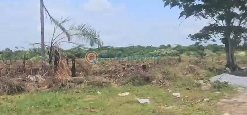 Mixed use Land For Sale Dangote Refinery Ikegun Ibeju-Lekki Lagos - 2