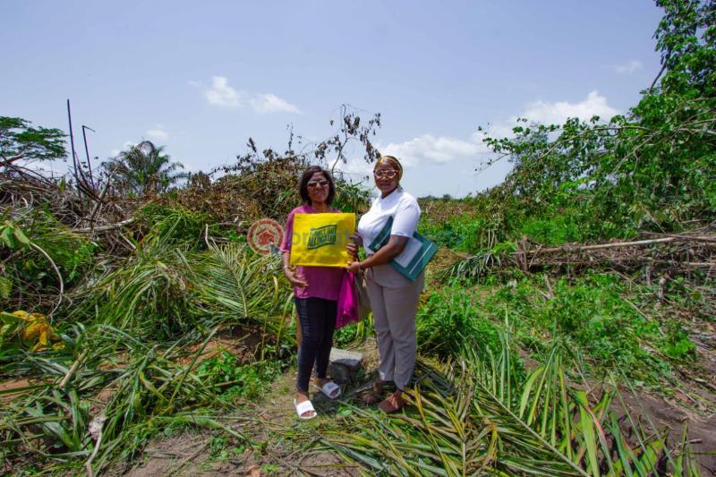 Residential Land For Sale Maven Estate Phase 2 Igbonla Epe Lagos Epe Lagos - 11