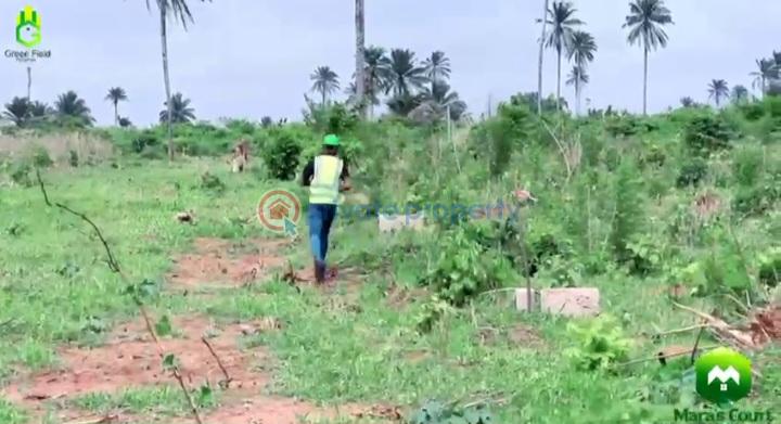 Residential Land For Sale Mama's Court Estate Admiralty Drive Ibusa Bypass Asaba Asaba Delta - 2