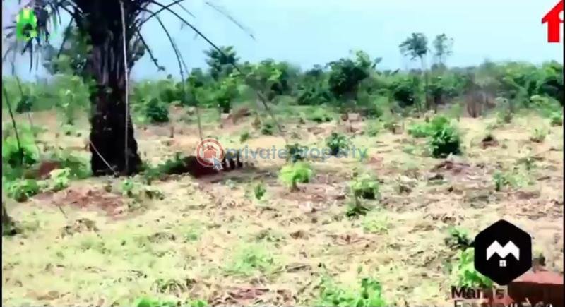 Residential Land For Sale Mara's Court Estate Phase 2 Admiralty Drive Ibusa Bypass Asaba Asaba Delta - 6