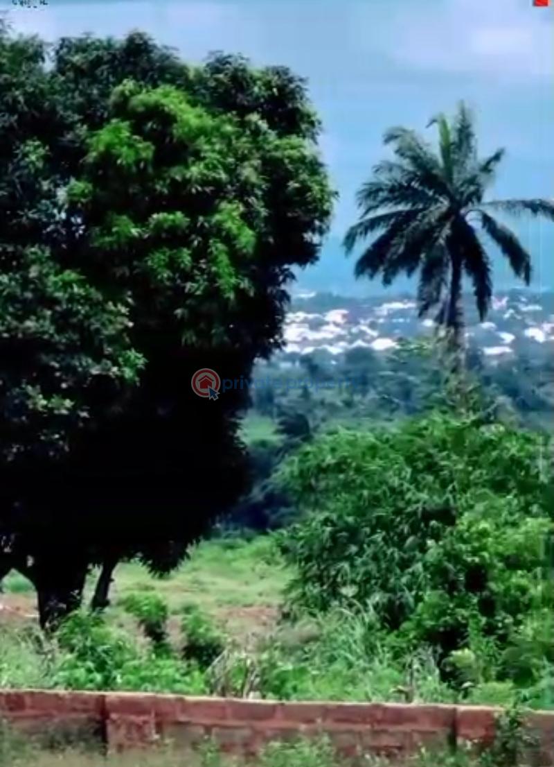Residential Land For Sale Nduka Woods Layout Behind Admiralty Naval University Facing Ibusa Expressway Ibusa Asaba Delta Asaba Delta - 8