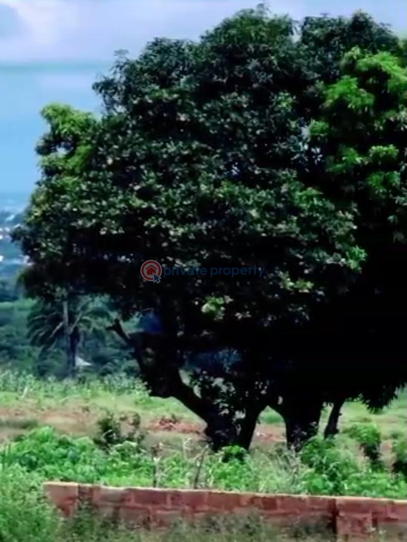 Residential Land For Sale Nduka Woods Layout Behind Admiralty Naval University Facing Ibusa Expressway Ibusa Asaba Delta Asaba Delta - 4