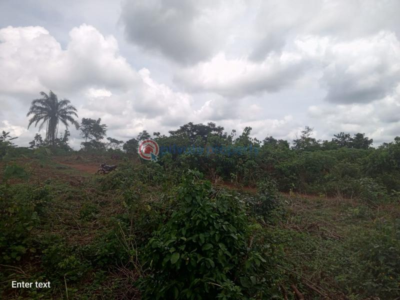 Land For Sale Lagos Extension Ogun - 0
