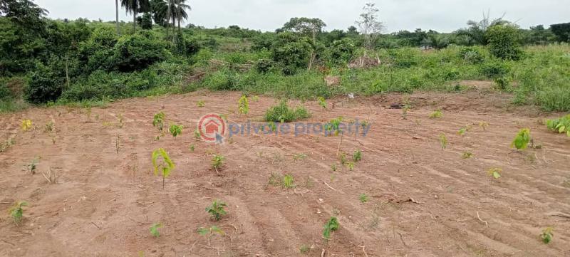 Mixed use Land For Sale Fortune Gardens Estate Okpanam City Gate Just 4 Minute Drive From Ugbolu Market Amachai Road Asaba Delta - 5