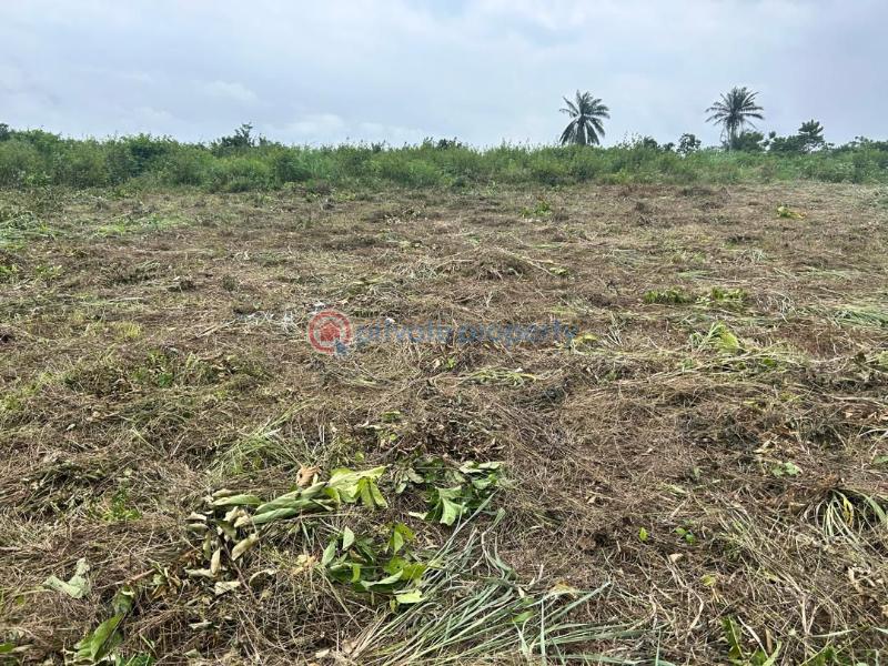 Residential Land For Sale Omuala, Ogun State Lagos Extension Ogun - 3
