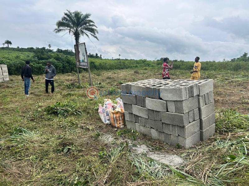 Residential Land For Sale Omuala, Ogun State Lagos Extension Ogun - 1