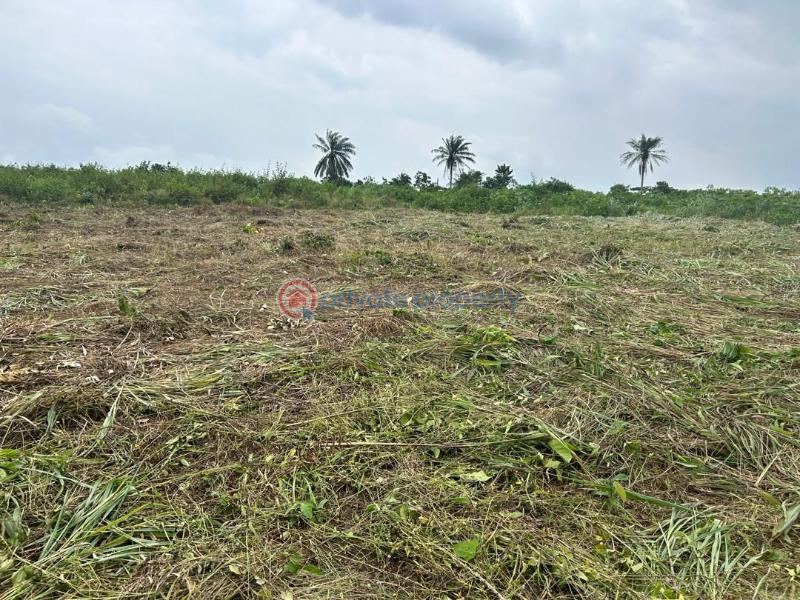 Residential Land For Sale Omuala, Ogun State Lagos Extension Ogun - 2