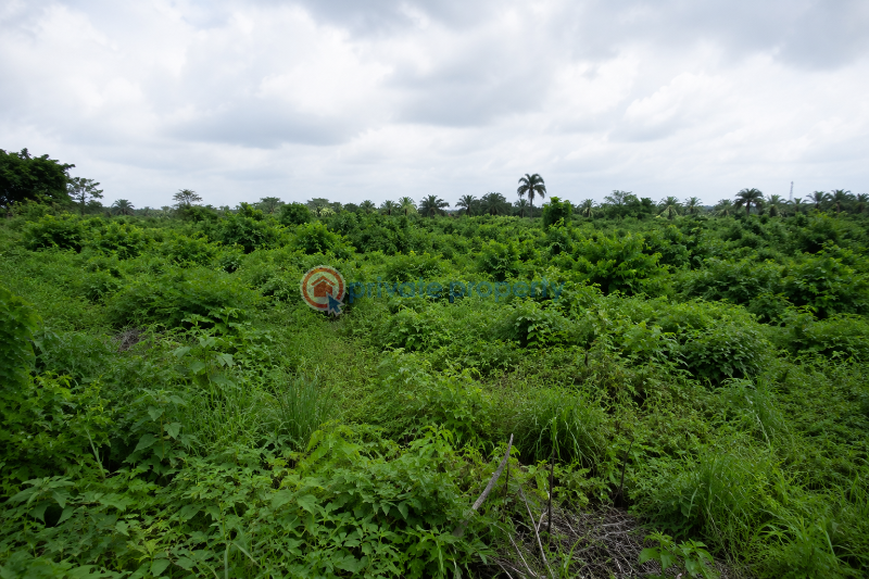 Residential Land For Sale Ngo Nkpala Owerri Imo - 2