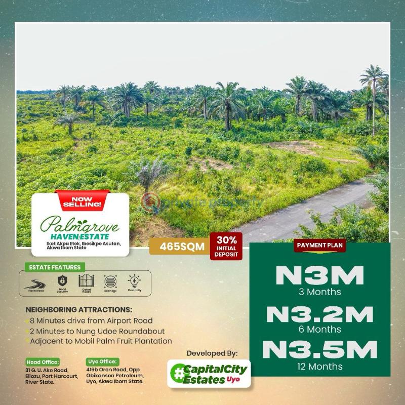 Residential Land For Sale 8mintutes Drive From Airport Road Ibesikpo Akwa Ibom