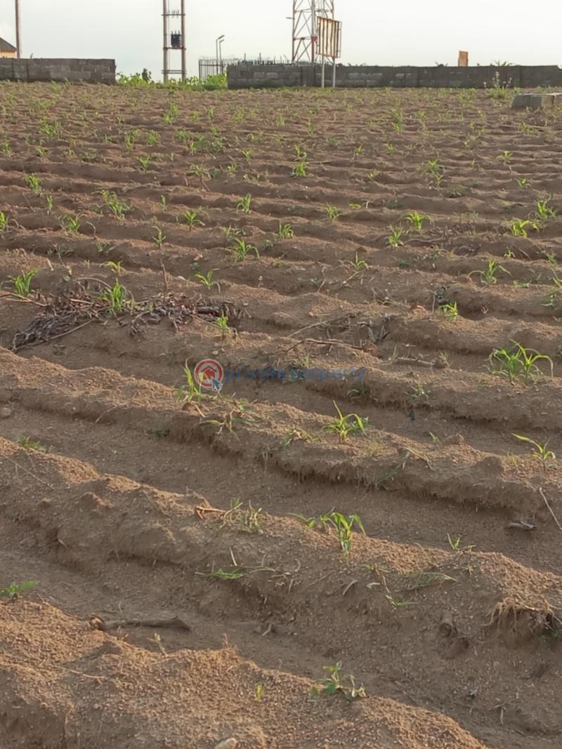 Residential Land For Sale Pearl Royal Estate, Lugbe Phase 1 Abuja Phase 1  - 8