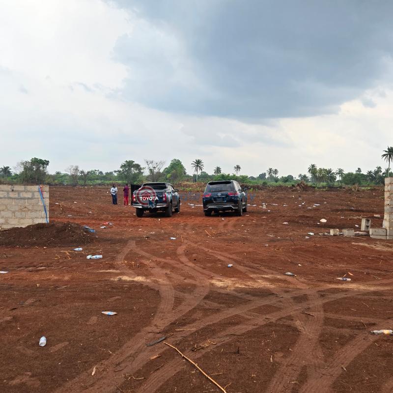 Residential Land For Sale Ubulu Okiti Oshimili North Delta - 4