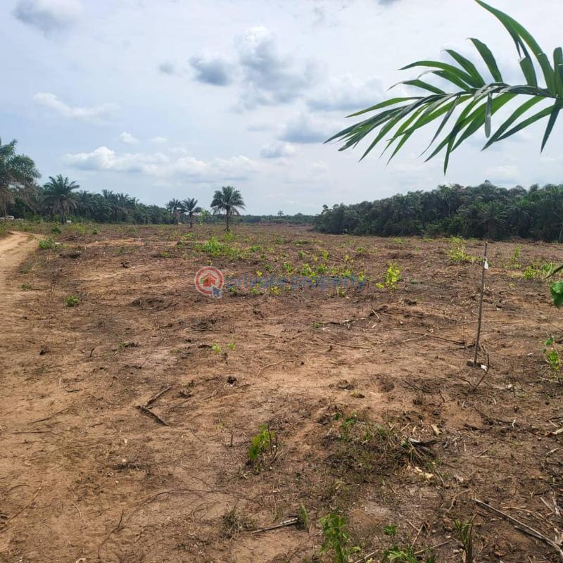 Land for sale in wonder generation estate epe - 3 Land For Sale Igboye Epe Ajah Lagos - 3