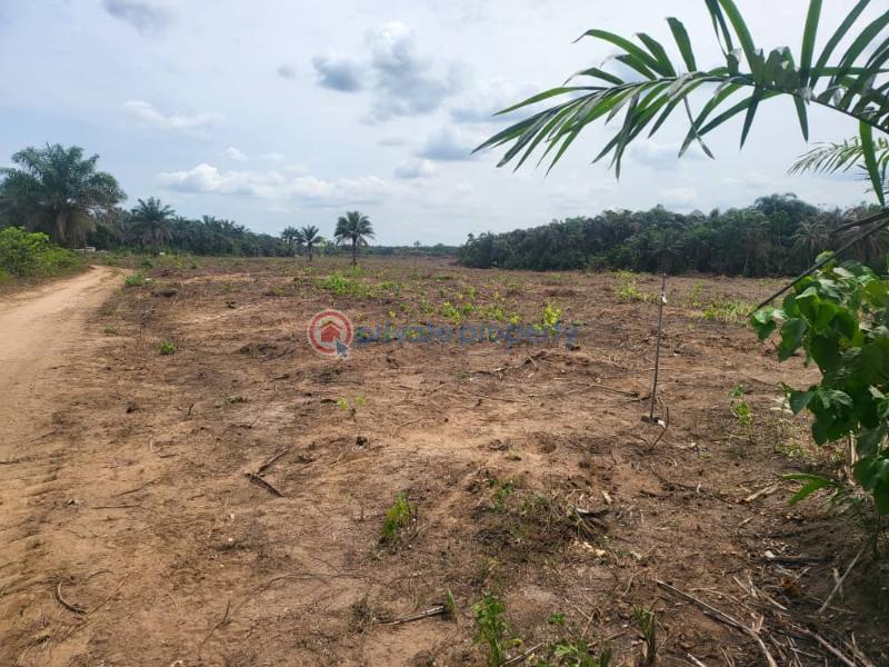 Land for sale in wonder generation estate epe - 5 Land For Sale Igboye Epe Ajah Lagos - 5