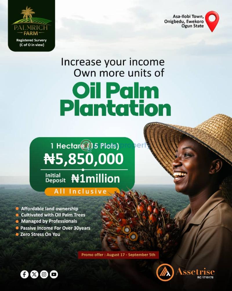 Residential Land For Sale Palmrich Farm Asa Ilobi Town Onigbedu Ewekoro Ogun State Ogun Ogun area  - 1