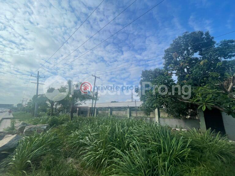 Land For Sale Directly Along Gbagada Oworonshoki – Expressway, Close To Ups Gbagada Lagos Oworonshoki Gbagada Lagos - 3