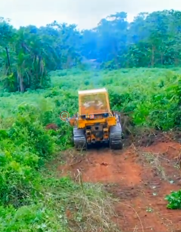 Land For Sale Orinsunmbare Obafemi Owode Ogun - 2