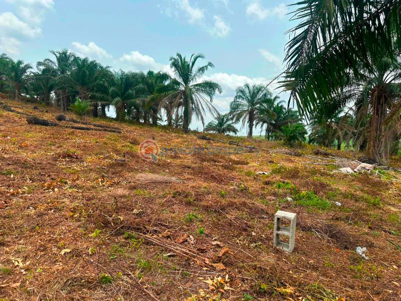 Mixed use Land For Sale Charisma Garden Estate In Ogbor Hills Ovom, Aba South Abia - 1