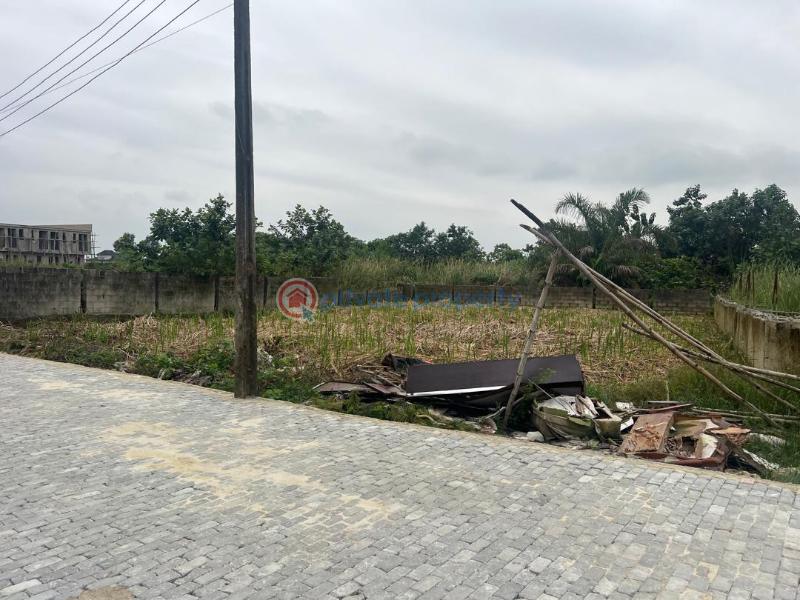Residential Land For Sale Hope Ville Estate Sangotedo Sangotedo Lagos - 4