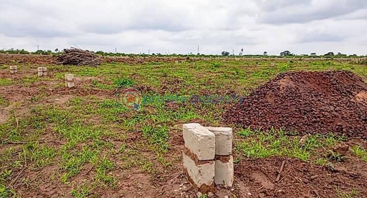 Residential Land For Sale La Campagane Tropicana/ Lekki Free Zone / Dangote Refinery/ Chinese Farm Eleko Ibeju-Lekki Lagos