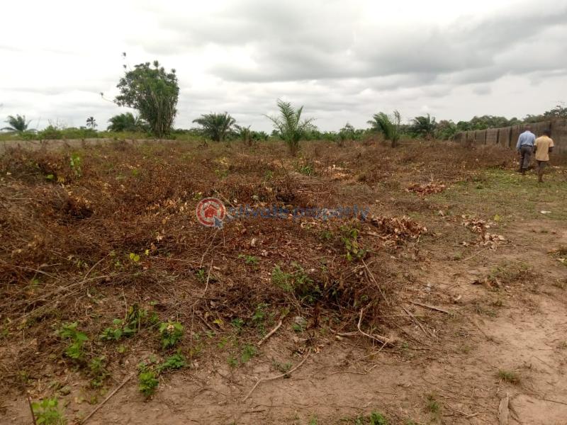 Residential Land For Sale Ciza Prime Located At Ilara With Good Road Network Epe Lagos - 2
