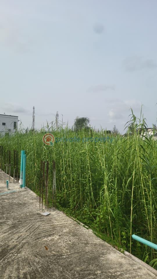 Land For Sale Royal Pine Estate,orchid Road Lekki Lagos - 1