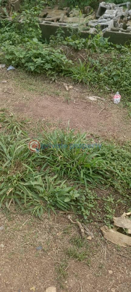 Residential Land For Sale Kolapo Ishola Gra Akobo Ibadan Oyo