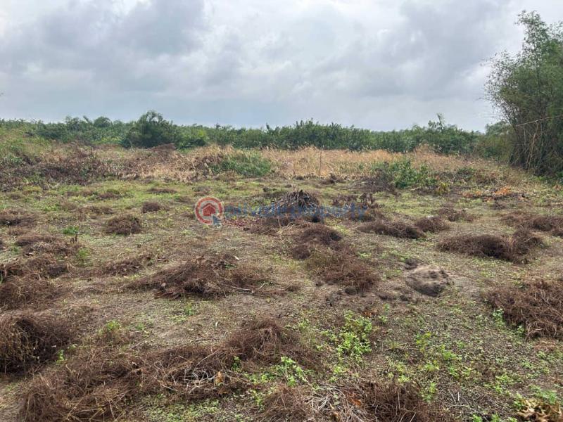 Residential Land For Sale Residences Located At Olomowewe, Oshoroko Community Ibeju-Lekki Lagos - 2