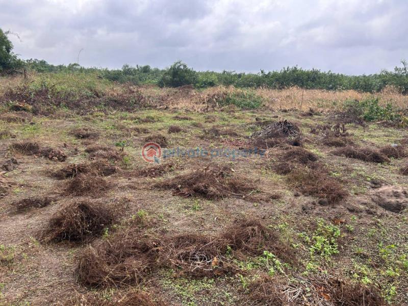 Residential Land For Sale Residences Located At Olomowewe, Oshoroko Community Ibeju-Lekki Lagos - 1