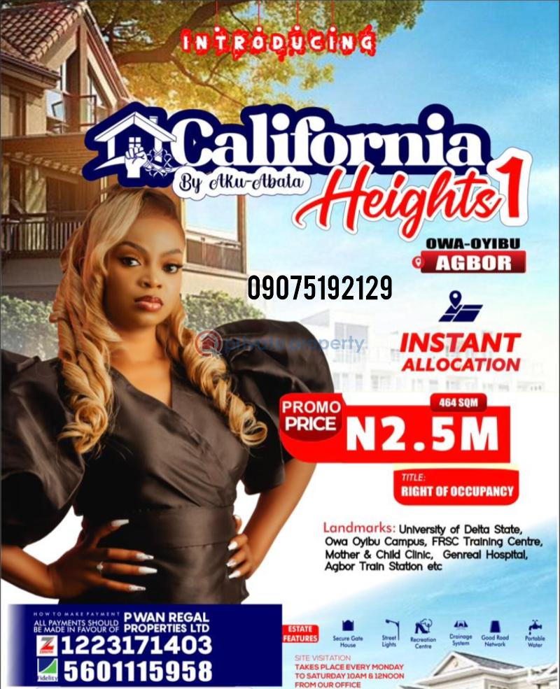 Land For Sale Owa Oyibo, Agbor Delta State Ika South Delta