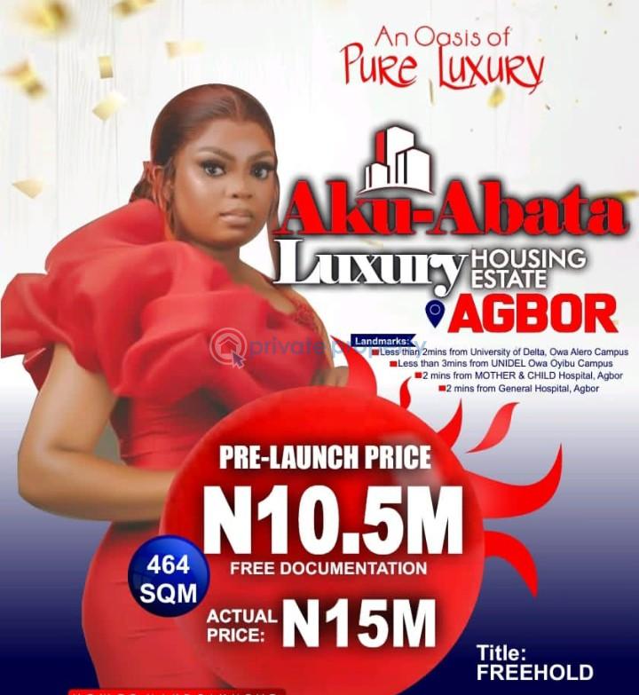 For sale Residential Land Aku Abata Luxury Housing Estate, Agbor, Ika