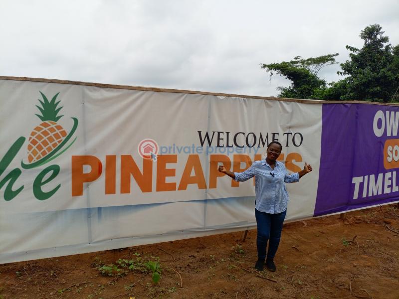 Residential Land For Sale The Pineapples Estate Agbowa Ikorodu Ogun Ogun area  - 8