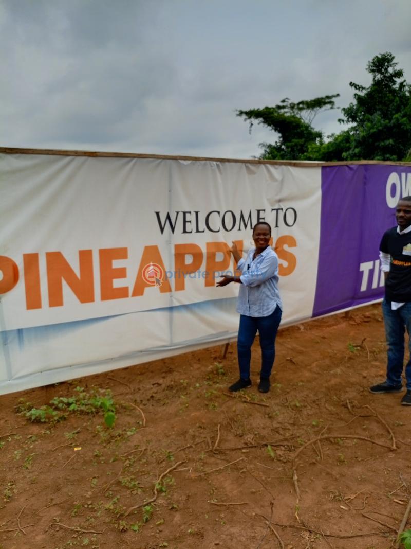 Residential Land For Sale The Pineapples Estate Agbowa Ikorodu Ogun Ogun area  - 6