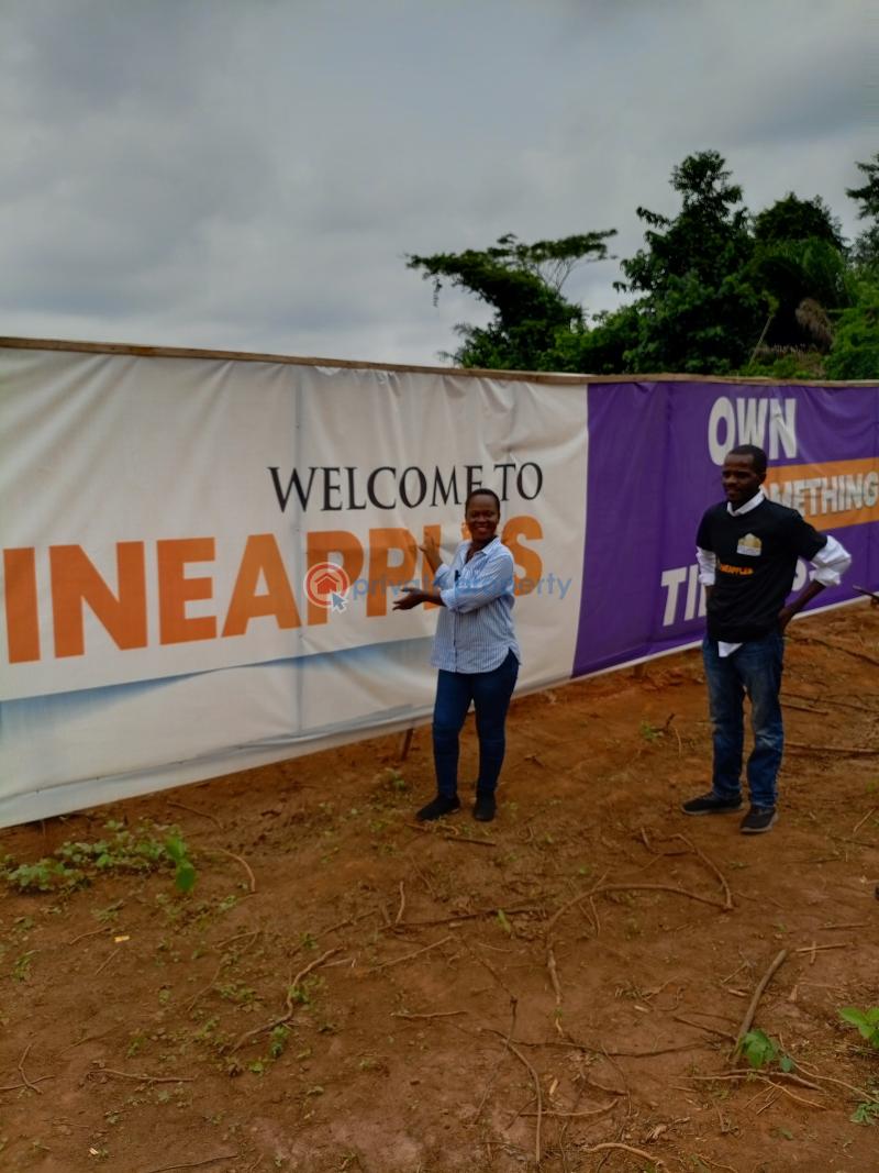 Residential Land For Sale The Pineapples Estate Agbowa Ikorodu Ogun Ogun area  - 7