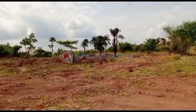 Land in an estate close to zion ministry in ngor okpala,  owerri - 1 Mixed use Land For Sale City Of Refuse Phase 1 By P Zion Owerri Ngor-Okpala Imo - 1