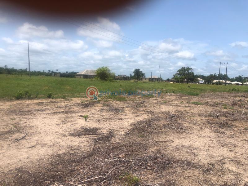Land For Sale Haven Bay Estate, Odeomi Ibeju Lekki Lagos La Campaigne Tropicana Ibeju-Lekki Lagos - 5