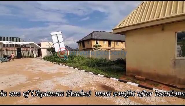 Residential Land For Sale Okpanam City Gate Asaba Delta - 5