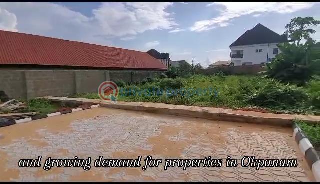 Residential Land For Sale Okpanam City Gate Asaba Delta - 9