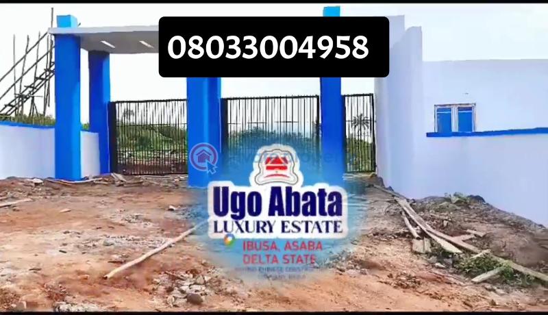 Residential Land For Sale Behind Governance Villa Oshimili Delta - 1