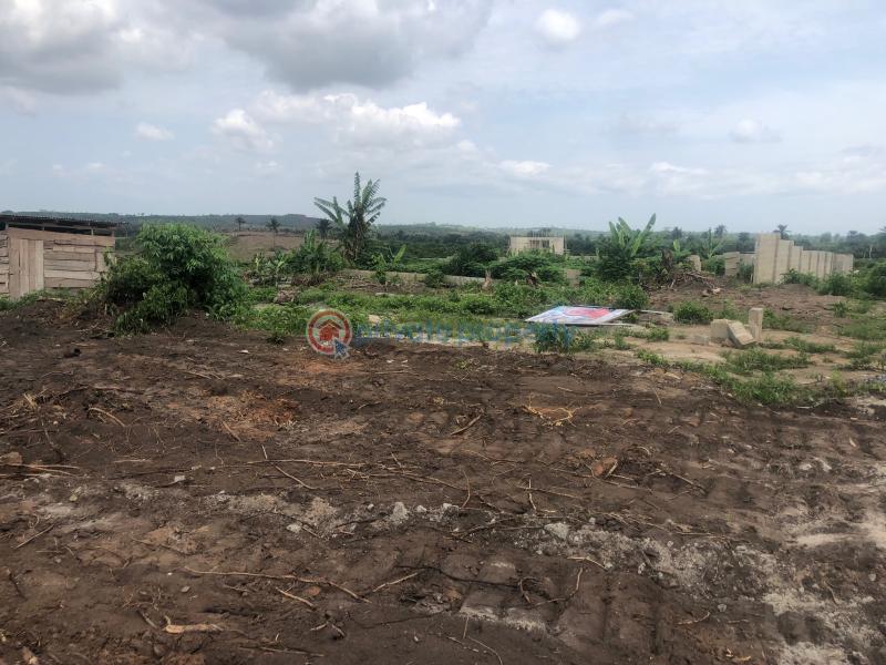 Residential Land For Sale Diaspora Haven Estate, Ibusa Asaba Oshimili North Delta - 0