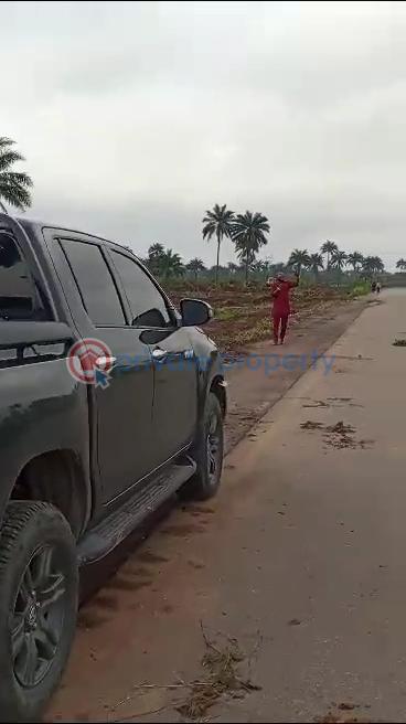 Residential Land For Sale Ngor Okpala Beside Zion Ministry Ngor-Okpala Imo - 9