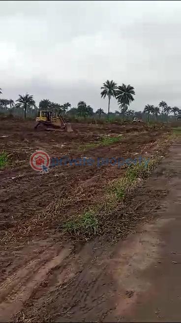 Residential Land For Sale Ngor Okpala Beside Zion Ministry Ngor-Okpala Imo - 10