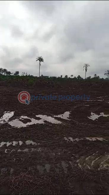 Residential Land For Sale Ngor Okpala Beside Zion Ministry Ngor-Okpala Imo - 8
