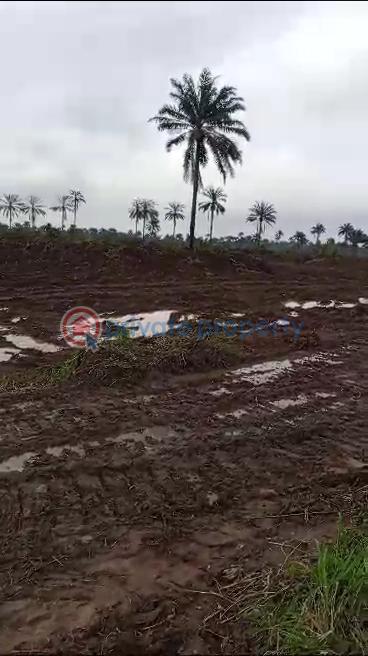 Residential Land For Sale Ngor Okpala Beside Zion Ministry Ngor-Okpala Imo - 11