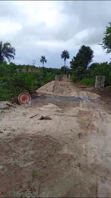 Residential Land For Sale Ngor Okpala Beside Zion Ministry Ngor-Okpala Imo - 4