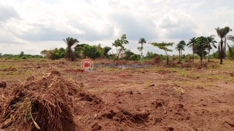 Residential Land For Sale Onicha Olona Asaba Delta - 4