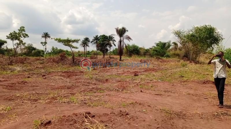 Residential Land For Sale Onicha Olona Asaba Delta - 9