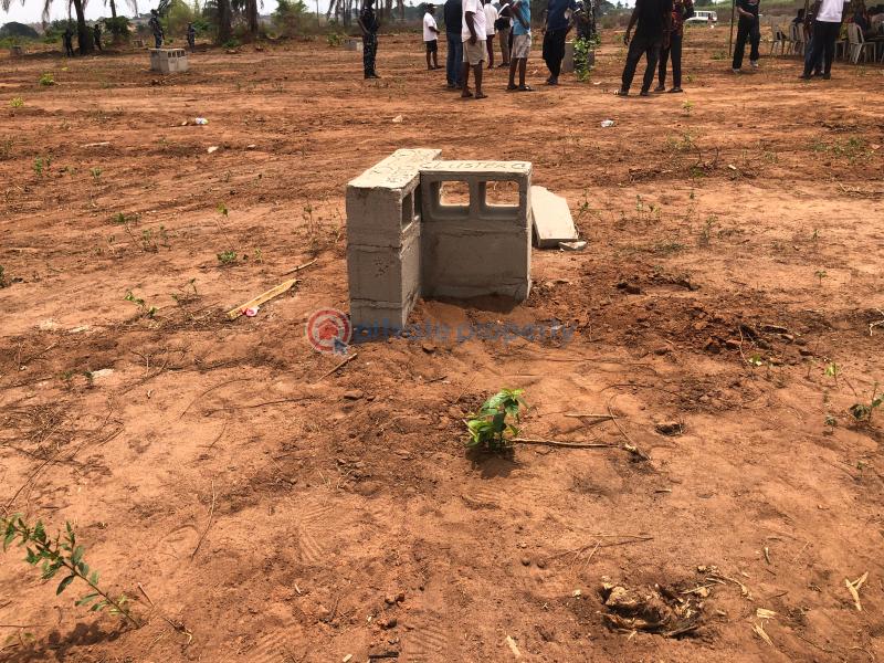 Residential Land For Sale Legacy Haven Estate, Umudei Quarters, Ogwashi Ukwu Aniocha South Delta - 1