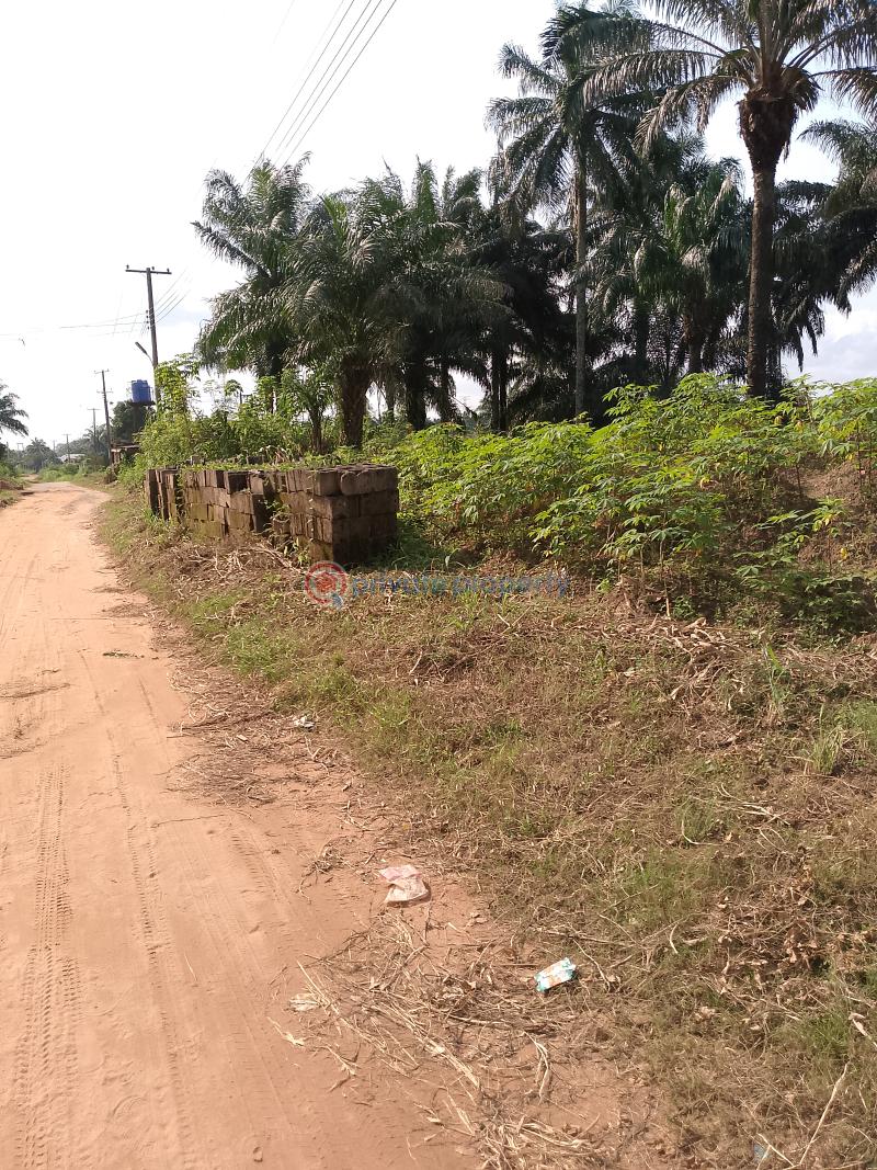 Land For Sale Close To Azagba Ogwashi Junction Oshimili North Delta