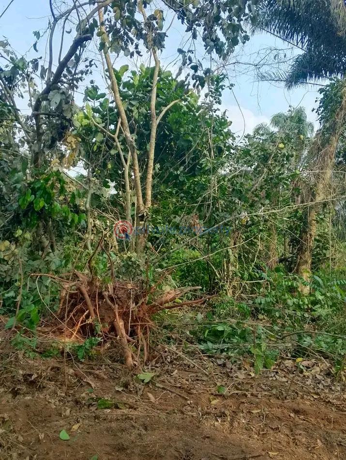 Land For Sale Asaba Delta - 2