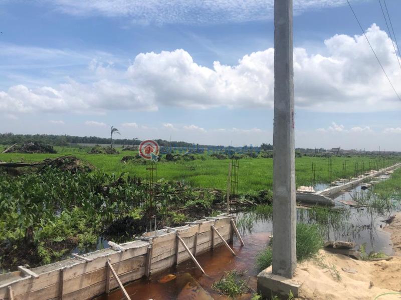 Residential Land For Sale Grido Community Odeomi Eleko Ibeju-Lekki Lagos - 3